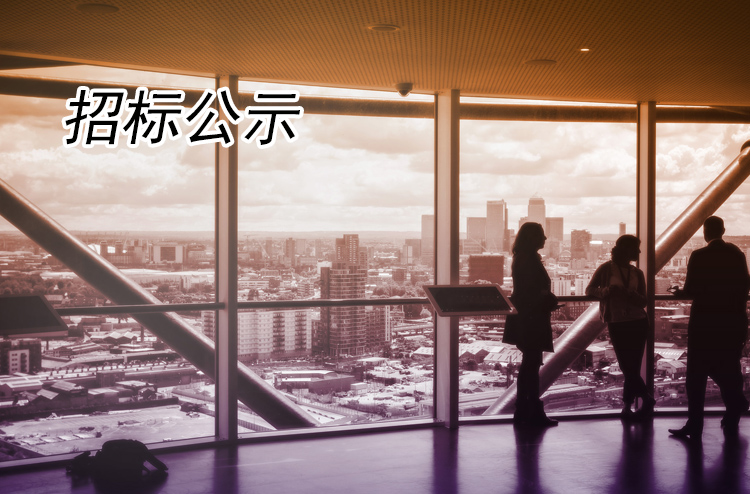  關(guān)于揚(yáng)州全域旅游有限公司-商業(yè)經(jīng)營部小吃類食品采購項(xiàng)目（B類）流標(biāo)說明